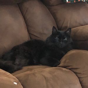 Meet your Posher, Kelsey